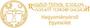 logo-image